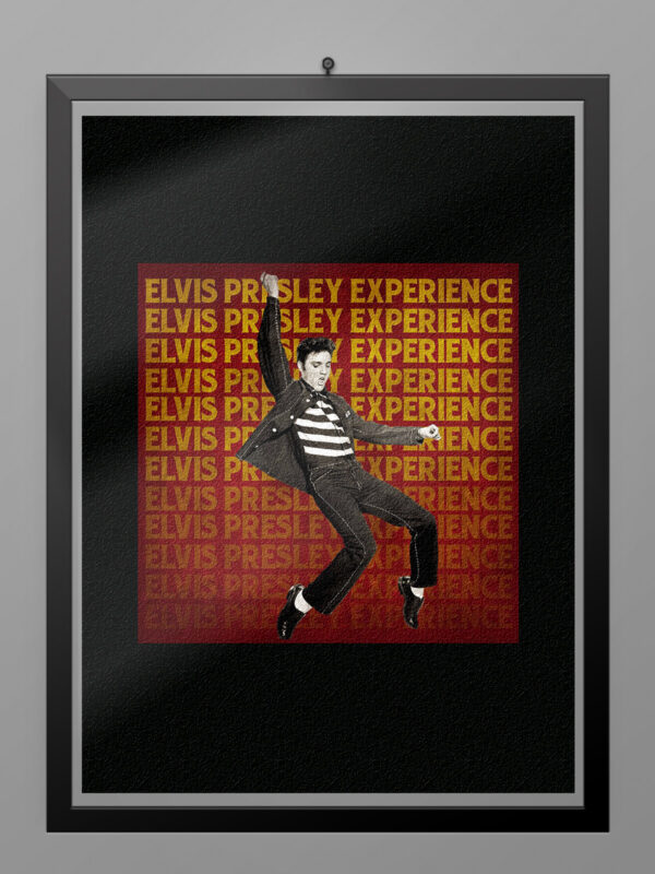 Camiseta Elvis vintage poster